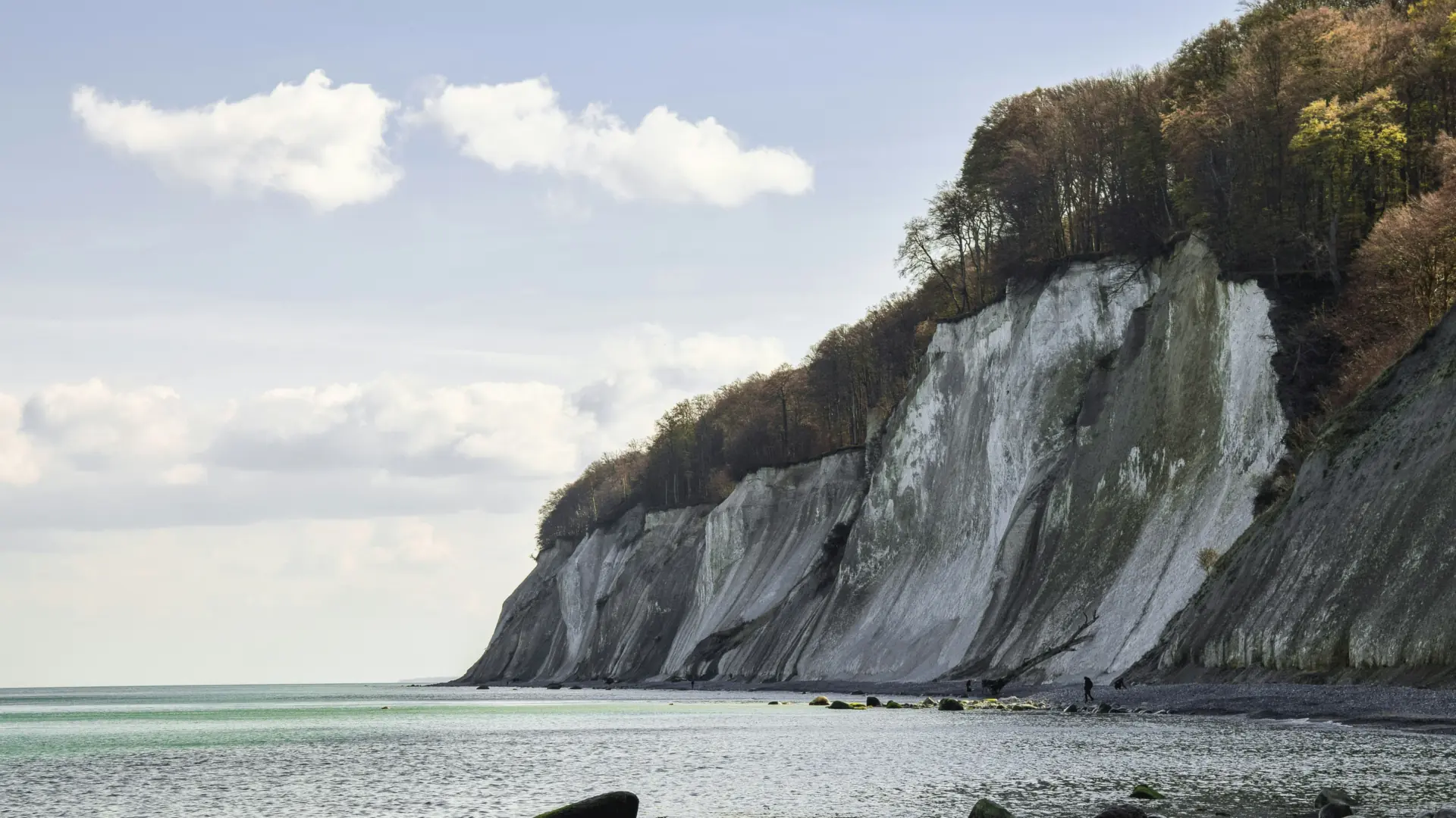 Kreidefelsen im Nationalpark Jasmund auf Rügen